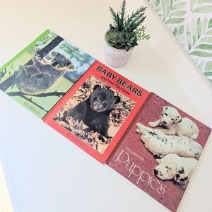 ⭐National Geographic Baby Animal Books For Kids⭐